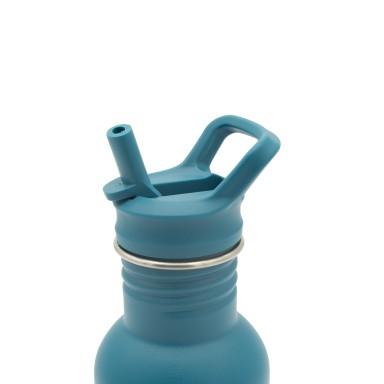 500 ml Stainless Steel Bottle - Chewy the Elephant