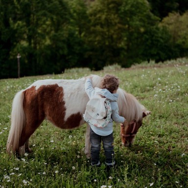 A5 Mini Backpack - Gnawy the Sloth