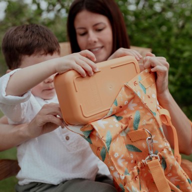 RPET lunch Box - Chompy the Lion