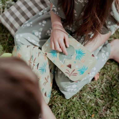 RPET lunch Box - Cracky the Dinosaur