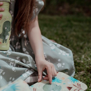 RPET lunch Box - Cracky the Dinosaur