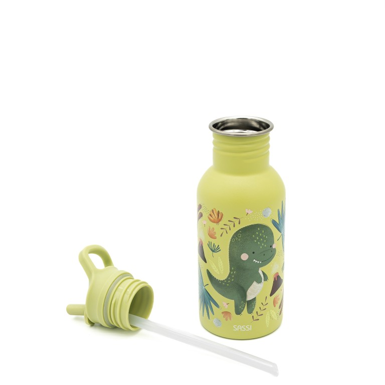 500 ml Stainless Steel Bottle - Cracky the Dinosaur