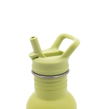 500 ml Stainless Steel Bottle - Cracky the Dinosaur