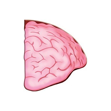 Viaggia, conosci, esplora. Il corpo umano