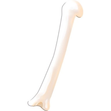 Viaggia, conosci, esplora. Il corpo umano