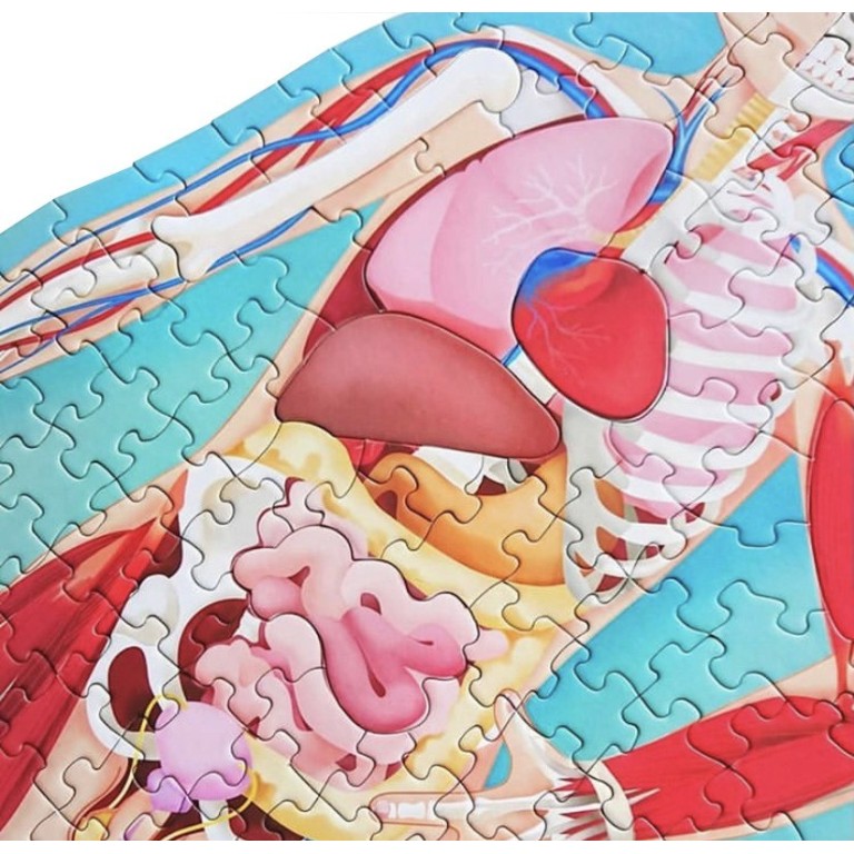 Viaggia, conosci, esplora. Il corpo umano