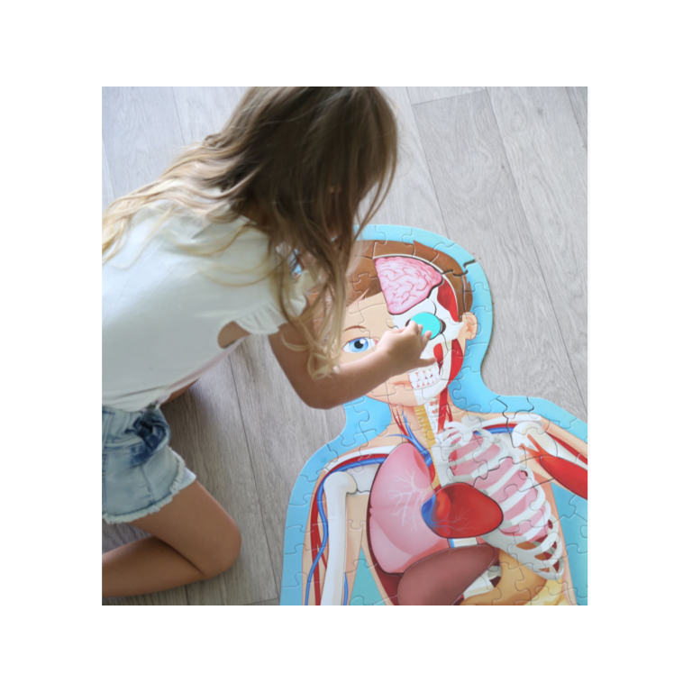 Viaggia, conosci, esplora. Il corpo umano