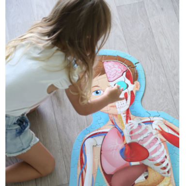 Viaggia, conosci, esplora. Il corpo umano