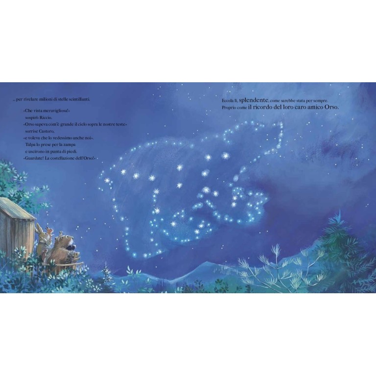 Caro amico Orso (Outlet)