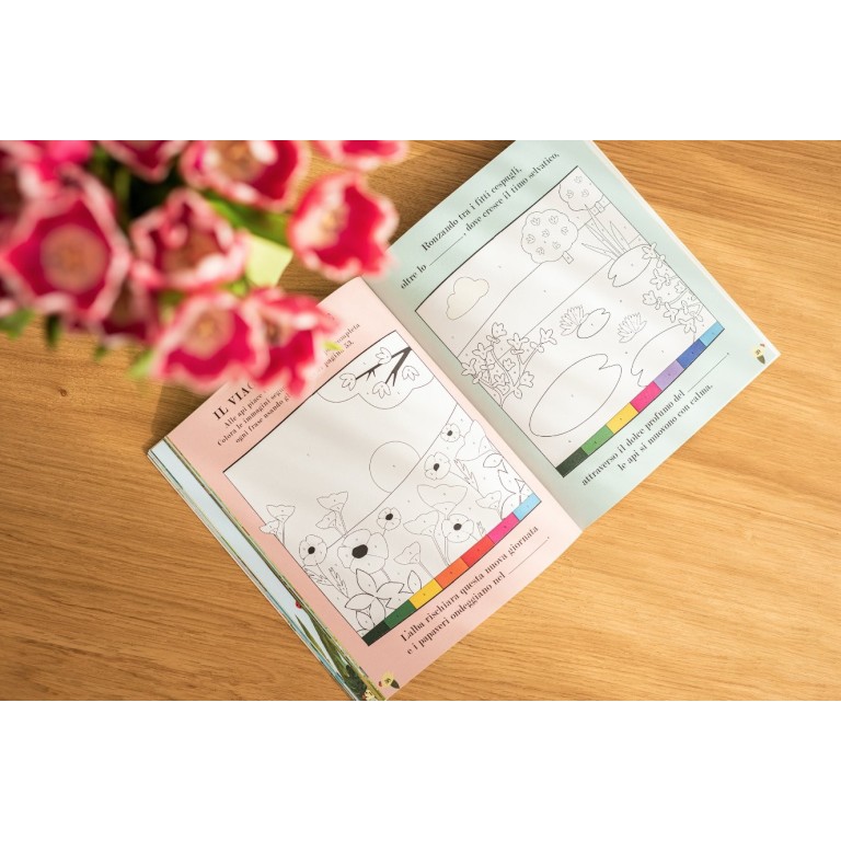 Junior Learning Carte Attività Comprensione Lettura - 50 Schede