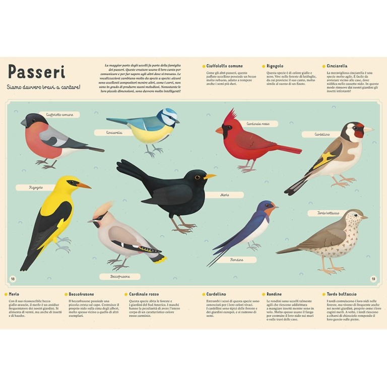 Enciclopedia degli animali per piccoli lettori