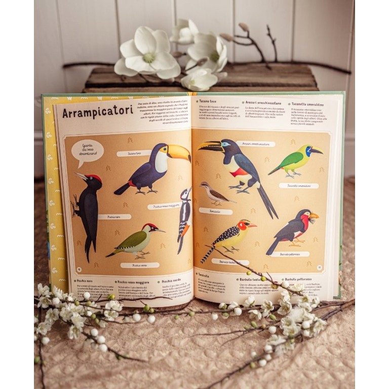 Enciclopedia degli uccelli per piccoli lettori