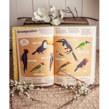 Enciclopedia degli uccelli per piccoli lettori