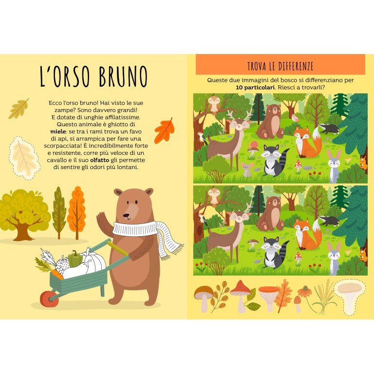 Carte da gioco. Le sette famiglie. Il bosco