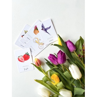 Carte della nomenclatura - PRIMAVERA