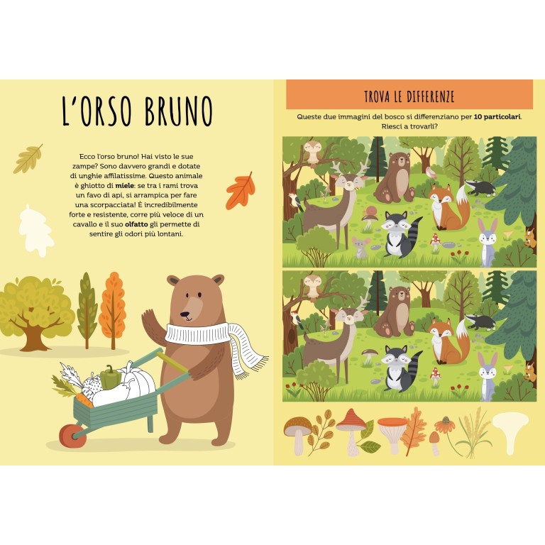 Stickers e attività. Il bosco