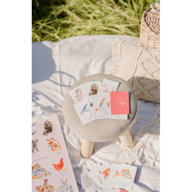 Carte della nomenclatura - MAMME E CUCCIOLI