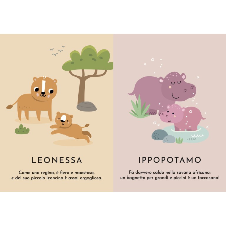 Le mie prime carte. Mamme e cuccioli  (Outlet)