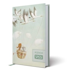 Agenda SASSI - Quando piove dentro