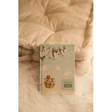 Agenda SASSI - Quando piove dentro