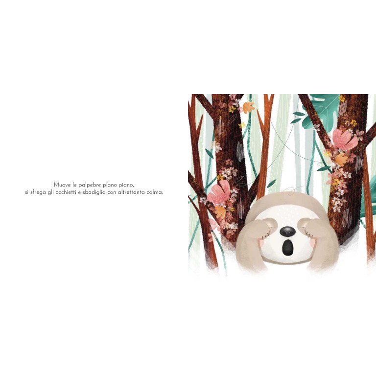 Libri cartonati. Gnawy e la pazienza