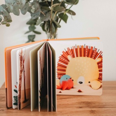 Libri cartonati. Chompy e il coraggio