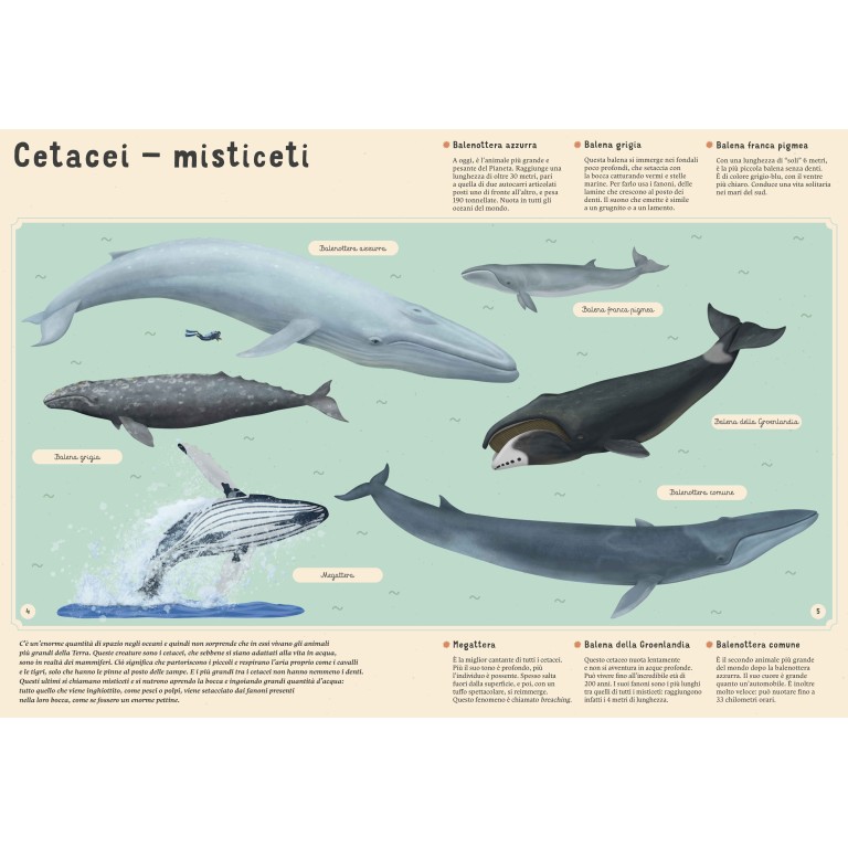Enciclopedia del mare per piccoli lettori