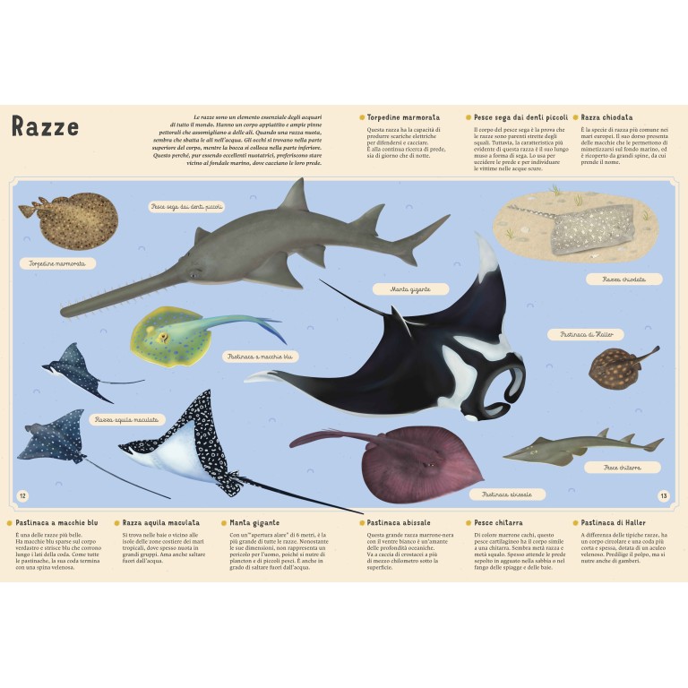 Enciclopedia del mare per piccoli lettori