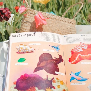 Enciclopedia del mare per piccoli lettori