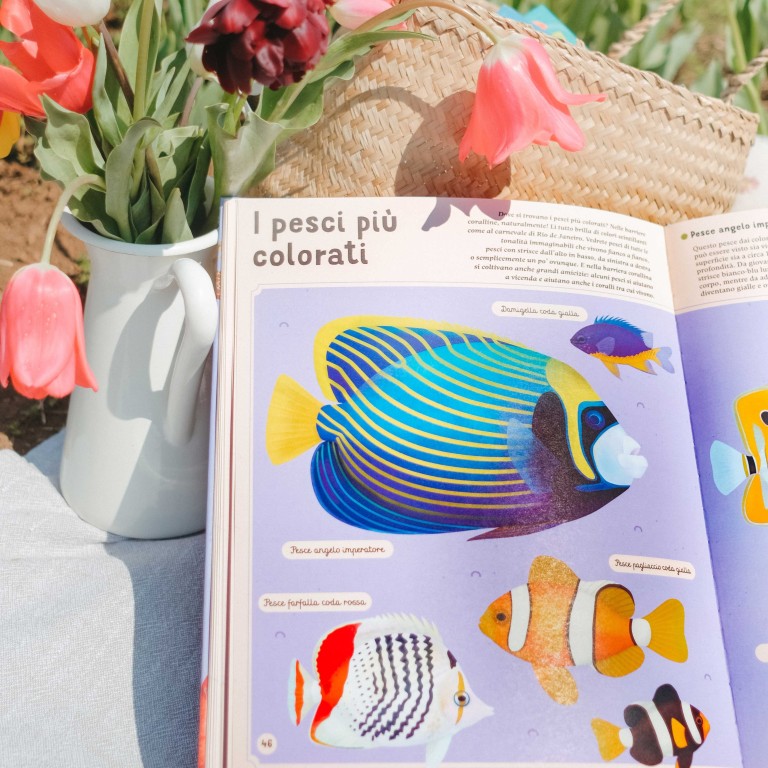 Enciclopedia del mare per piccoli lettori