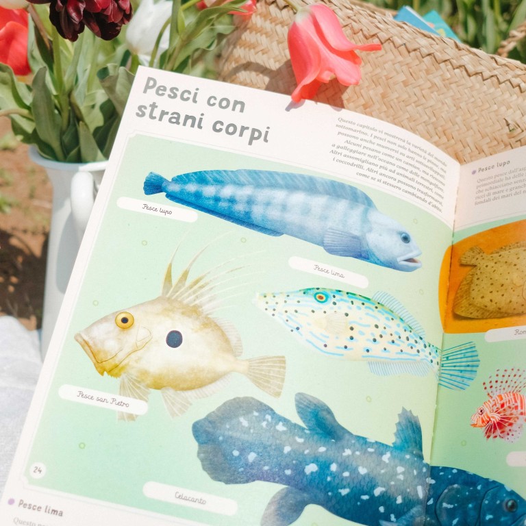 Enciclopedia del mare per piccoli lettori