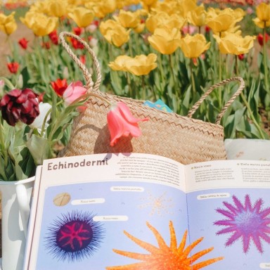 Enciclopedia del mare per piccoli lettori