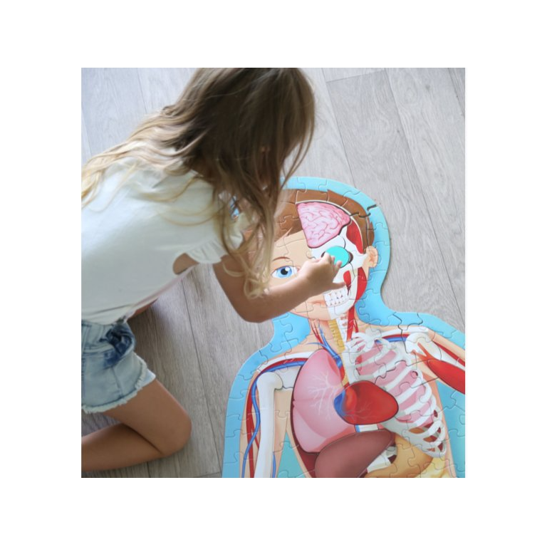 Travel, Learn, Explore. The Human Body