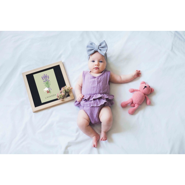 My First Cards. Nature (Outlet)