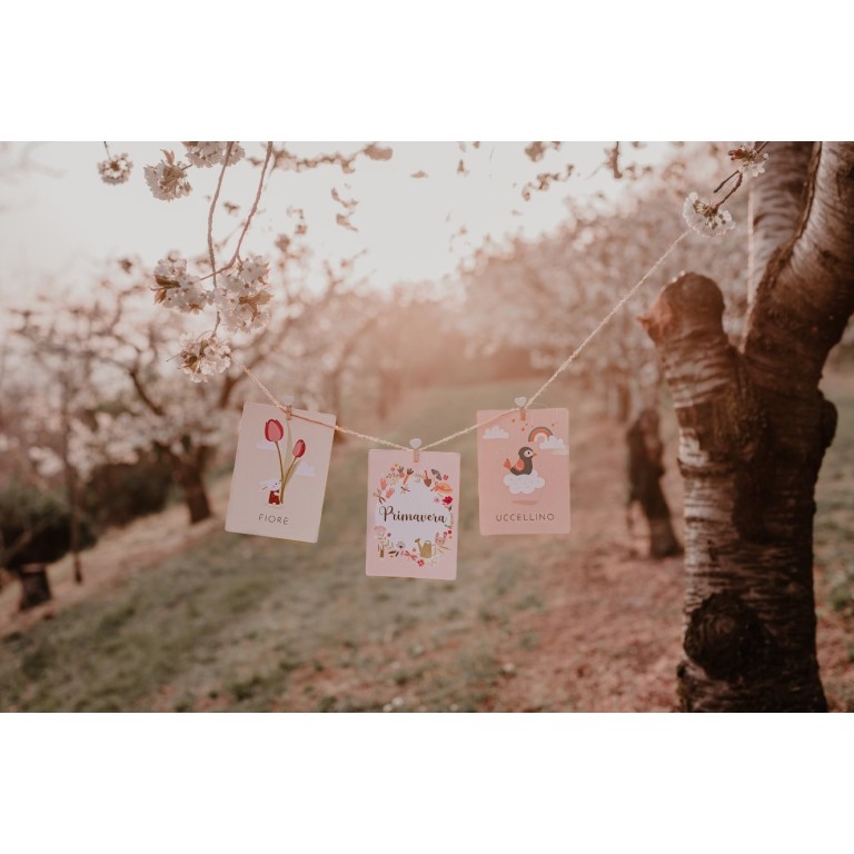 My First Cards. Nature (Outlet)