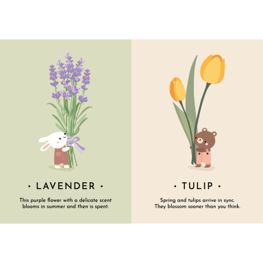 My First Cards. Nature (Outlet)