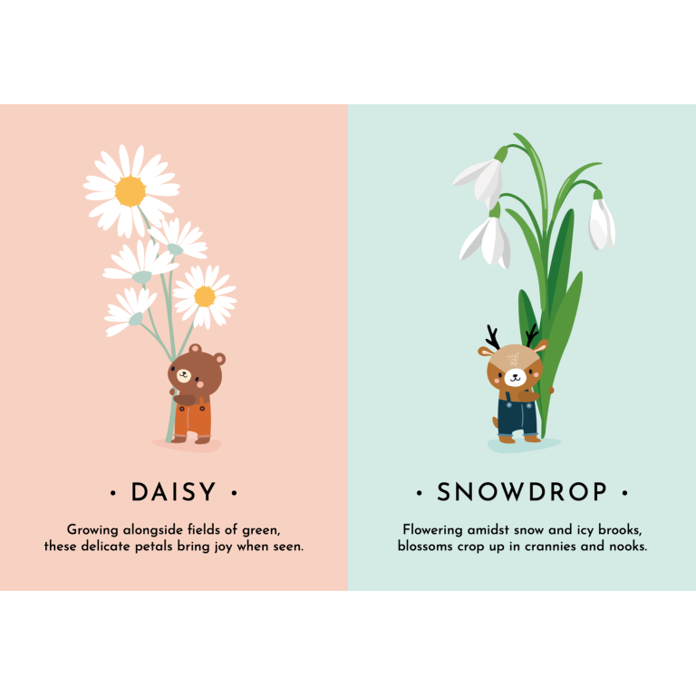 My First Cards. Nature (Outlet)