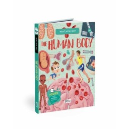 What, How, Why. The Human Body