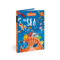 What, How, Why. The Sea