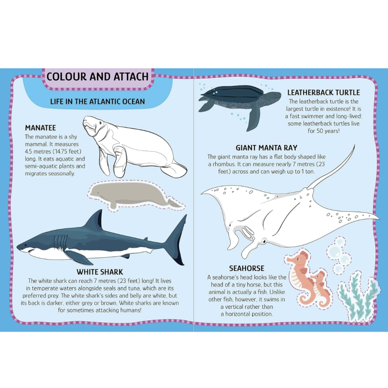 My First Activities Arts & Crafts. The Sea