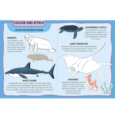 My First Activities Arts & Crafts. The Sea