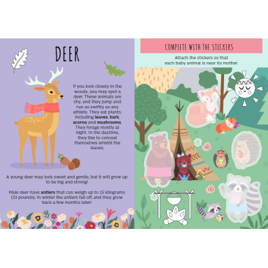 Card Games. Happy Families. The Forest