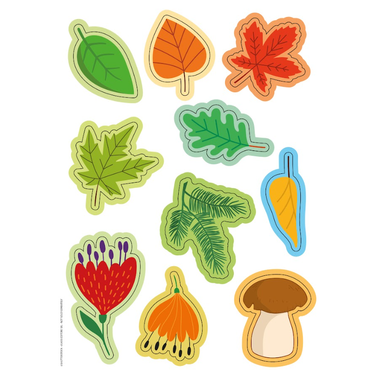 Card Games. Bluff! The Nature