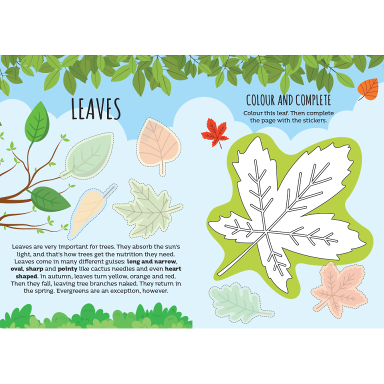 Card Games. Bluff! The Nature