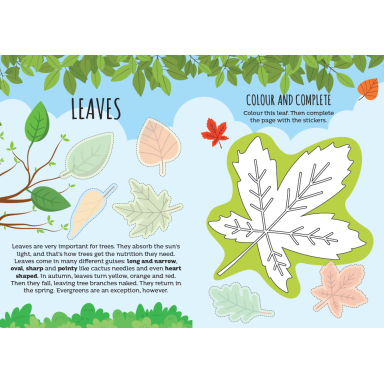 Card Games. Bluff! The Nature