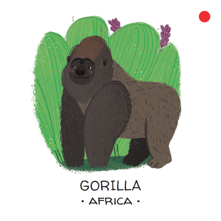 Memo. Animals to Save. Tropical forests