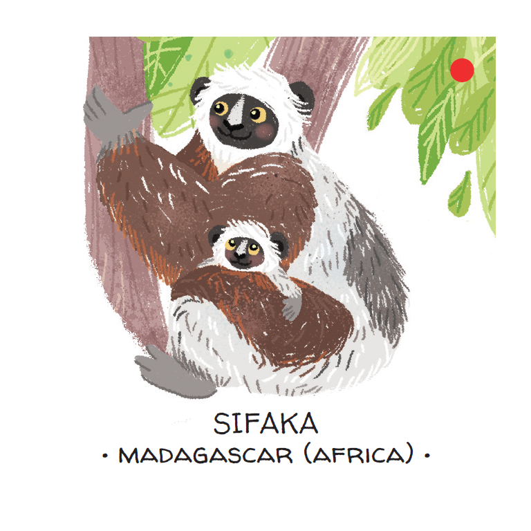 Memo. Animals to Save. Tropical forests