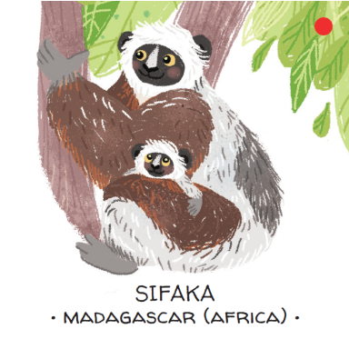 Memo. Animals to Save. Tropical forests