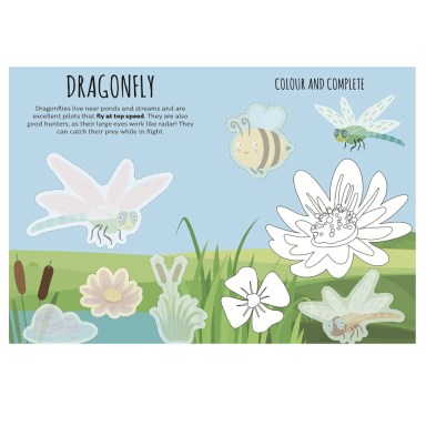 Card Games. Bluff! The Garden