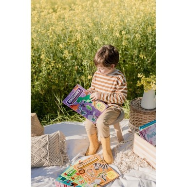 Stickers and Activities. Dinosaurs